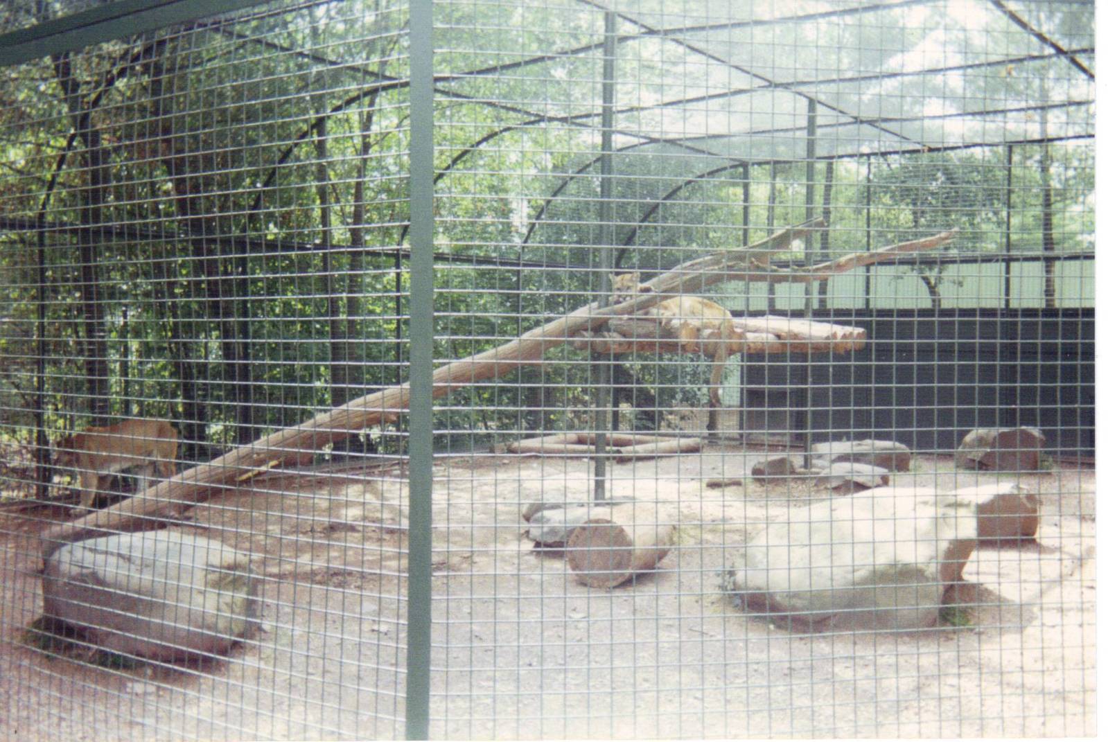 Scanned Catskill Game Farm Photo