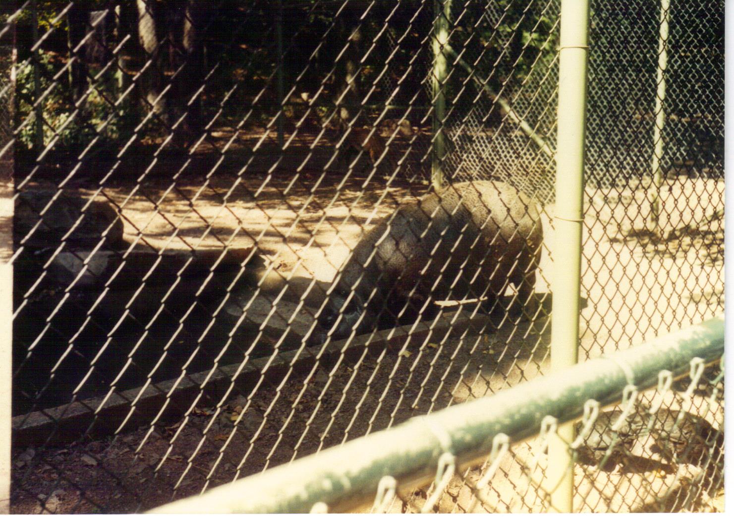 Scanned Catskill Game Farm Photo