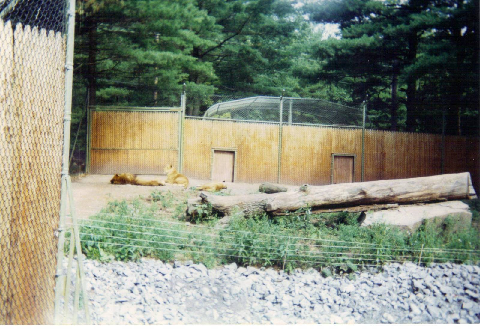 Scanned Catskill Game Farm Photo