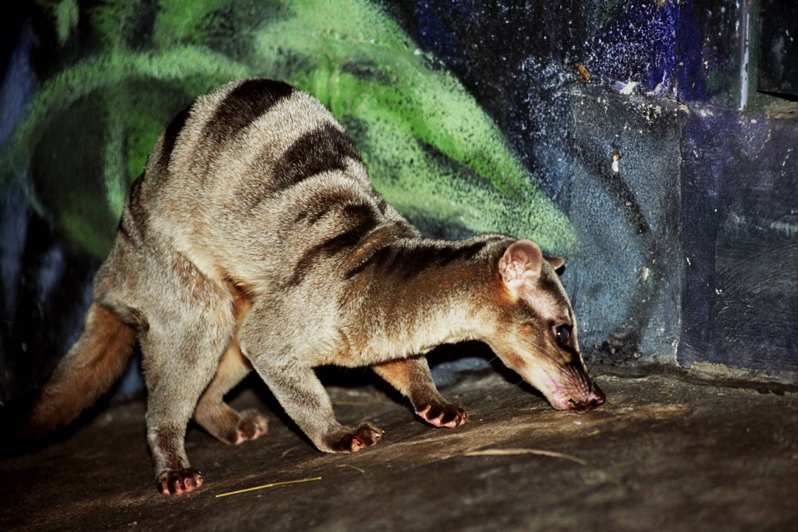 Scanned Columbus Zoo Photos 2006