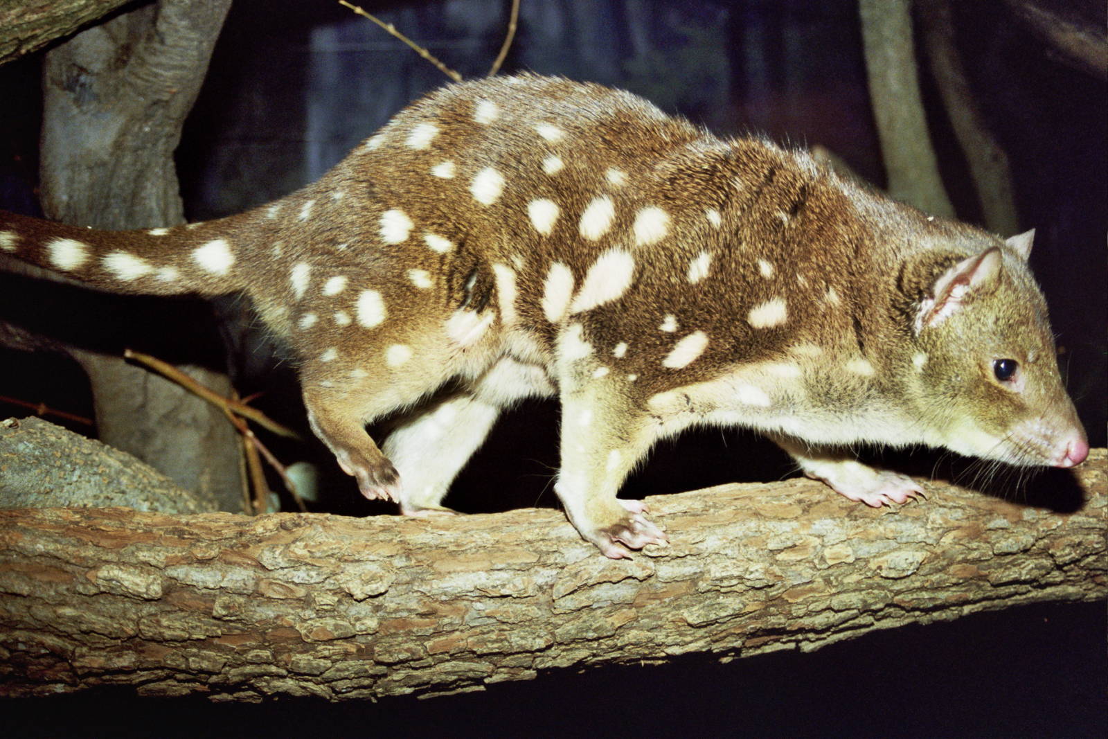 Scanned Columbus Zoo Photos 2006
