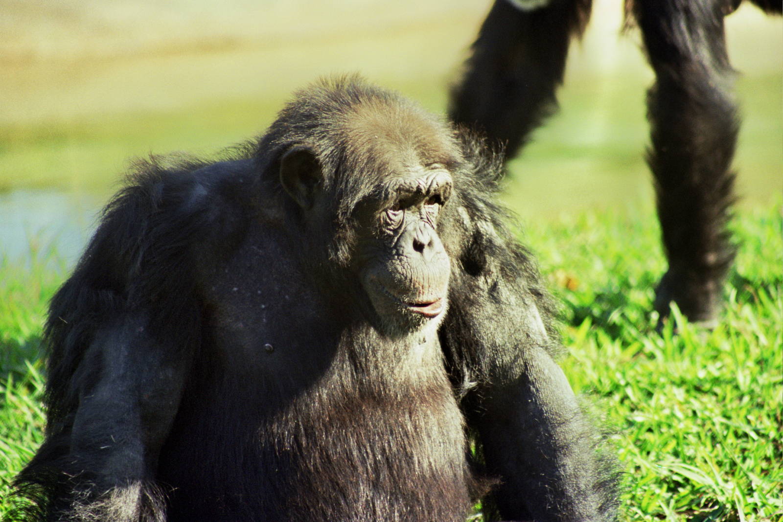 Scanned Miami Metro Zoo Photos 1990-2006