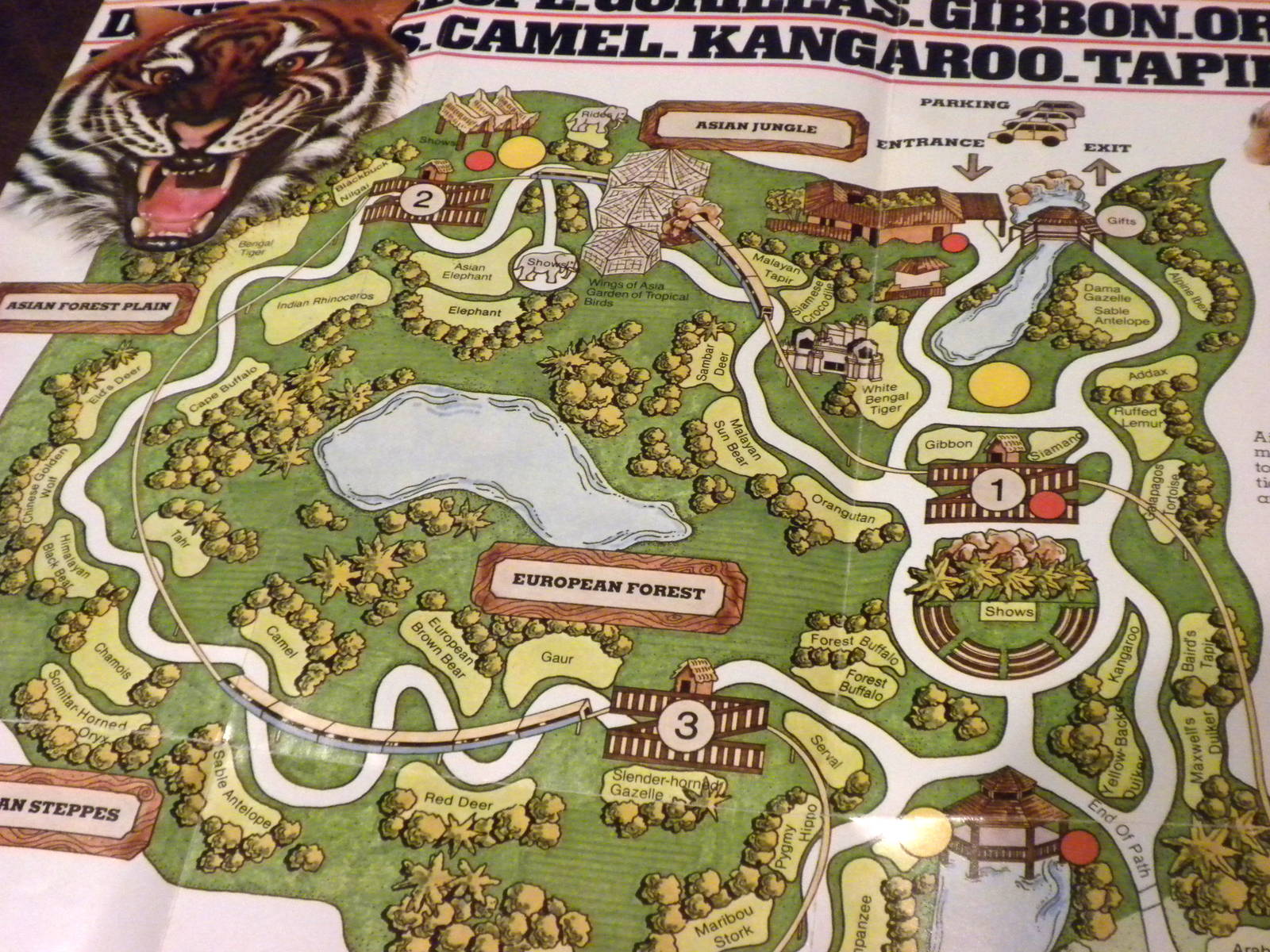 Scanned Miami Metro Zoo Photos 1990-2006