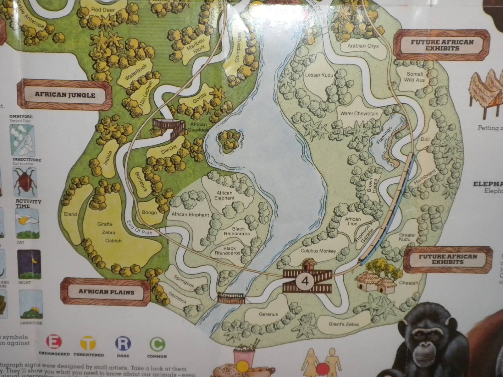 Scanned Miami Metro Zoo Photos 1990-2006