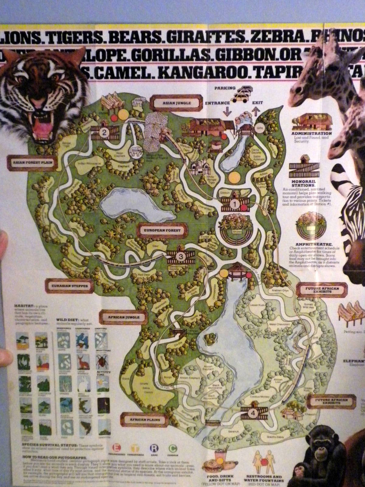 Scanned Miami Metro Zoo Photos 1990-2006