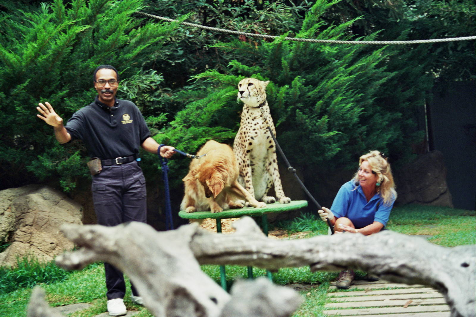 Scanned San Diego Zoo Photos 1992-2001