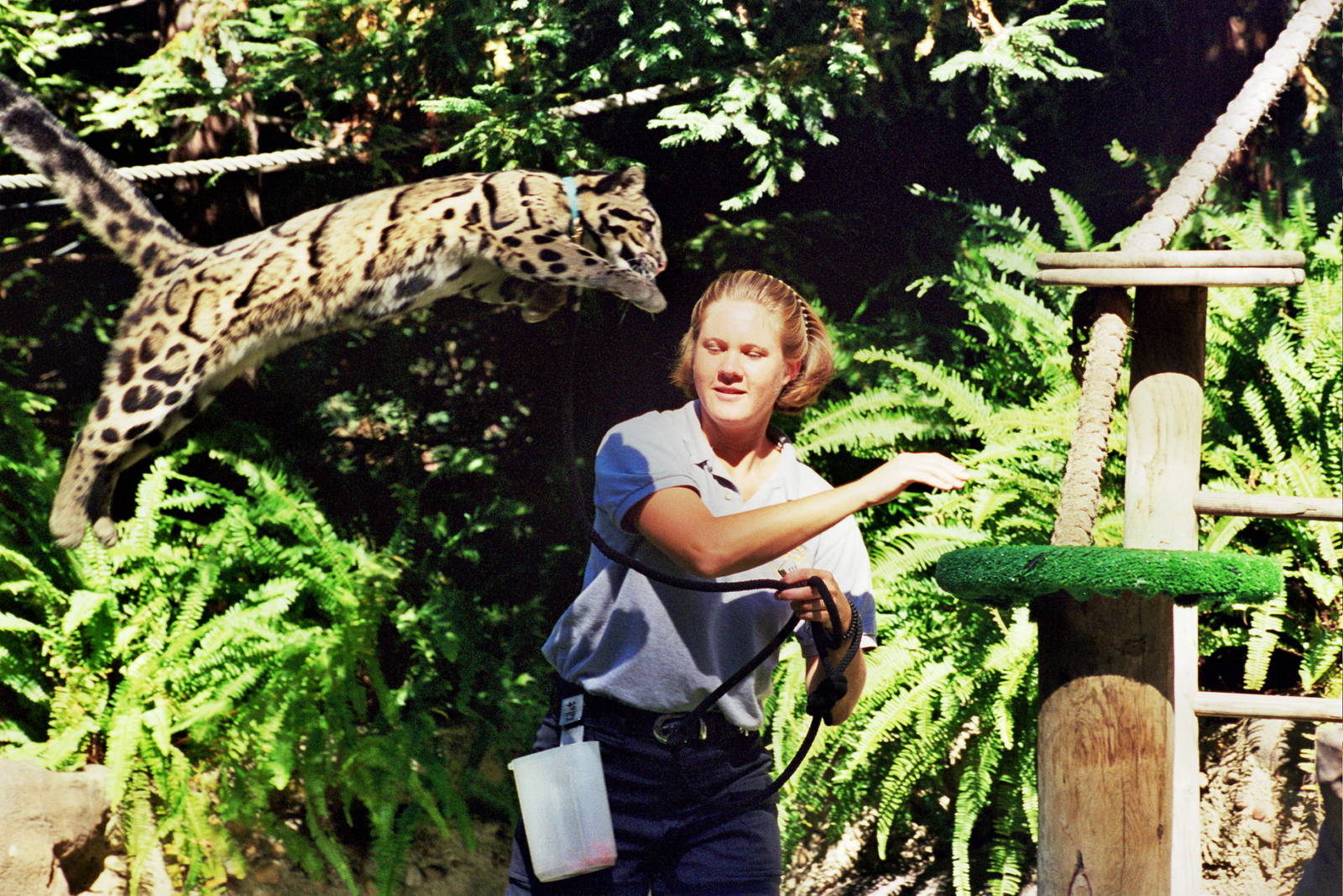 Scanned San Diego Zoo Photos 1992-2001