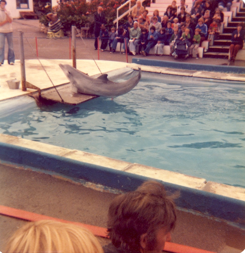 Scarborough Marineland and Zoo - Mid 1970s