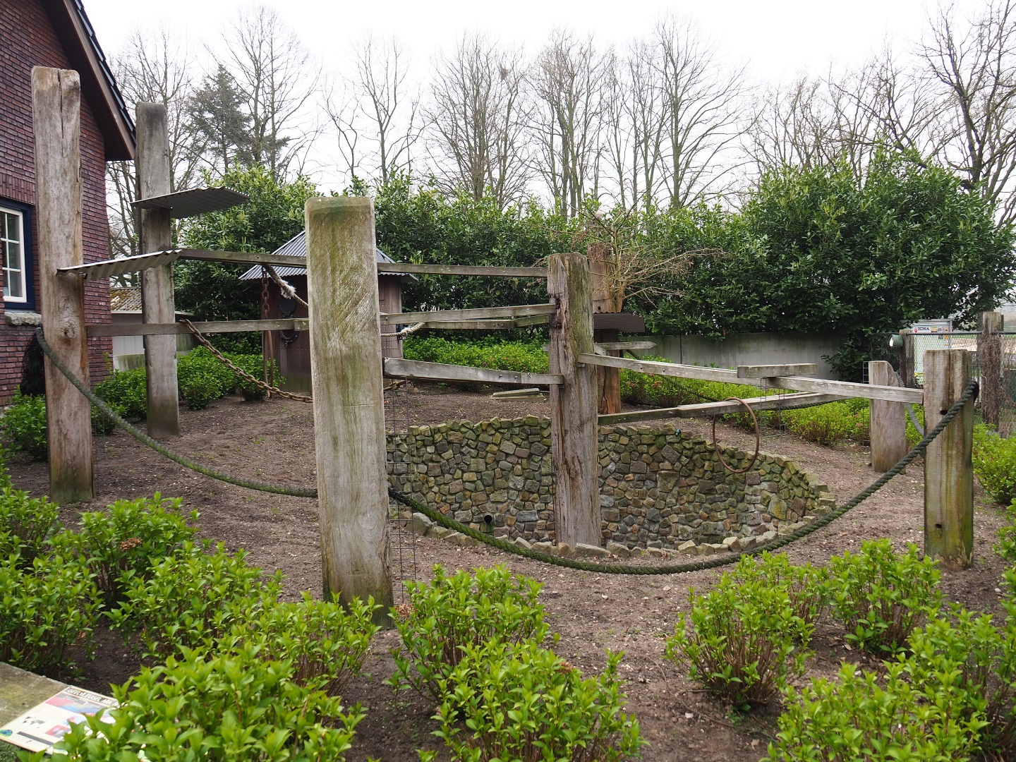 Scarlet and Catalina macaw exhibit, 2019-04-06