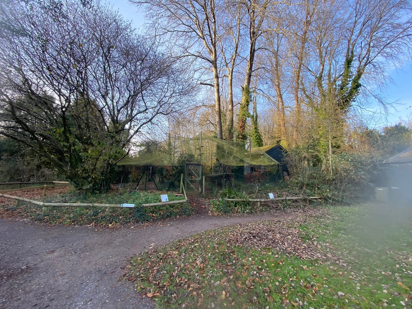 Scarlet Ibis aviary 161222