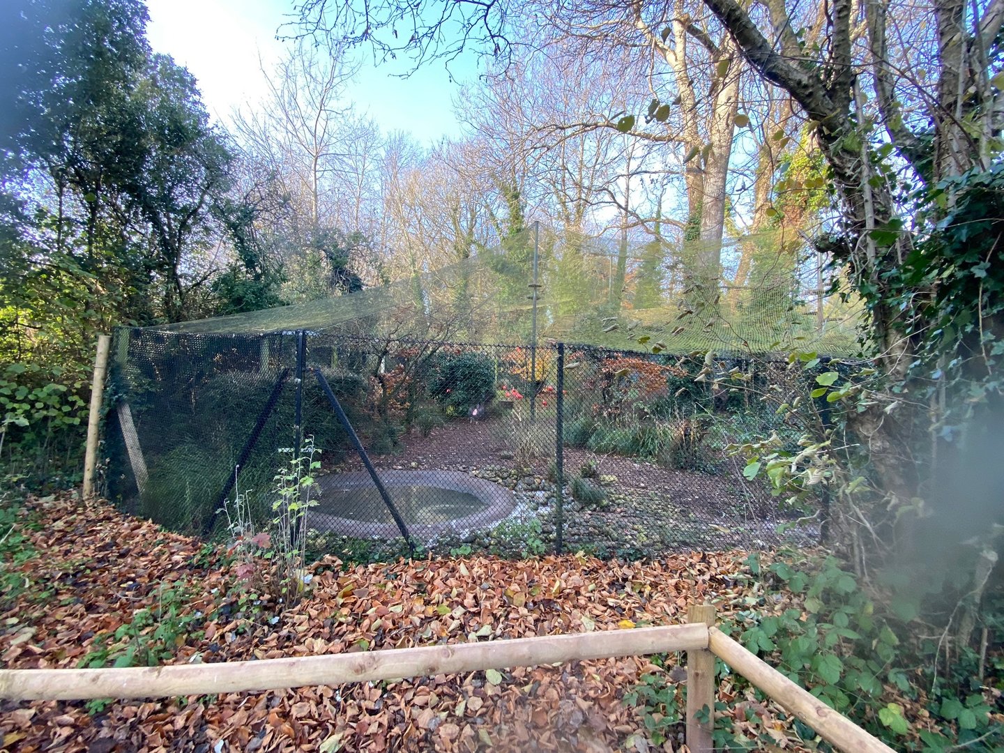 Scarlet Ibis aviary 161222