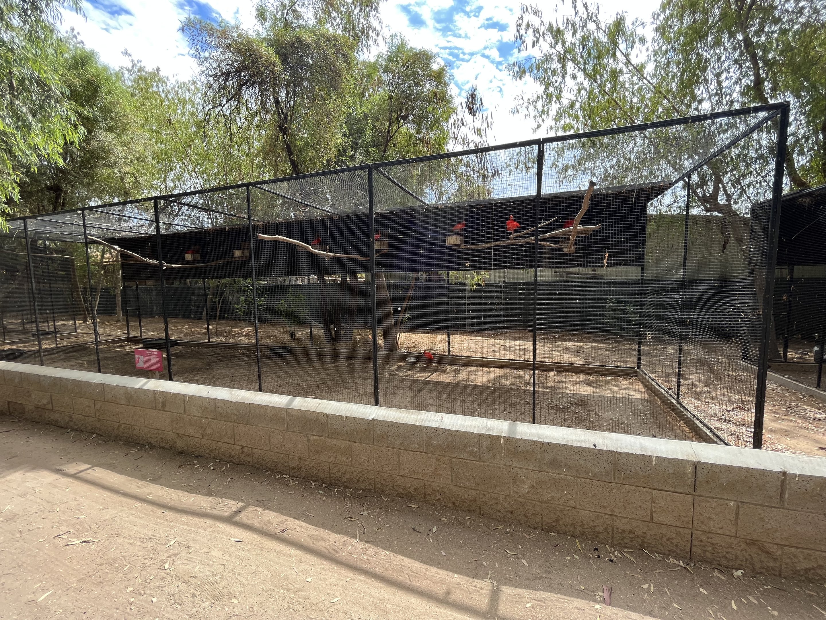 Scarlet Ibis Aviary