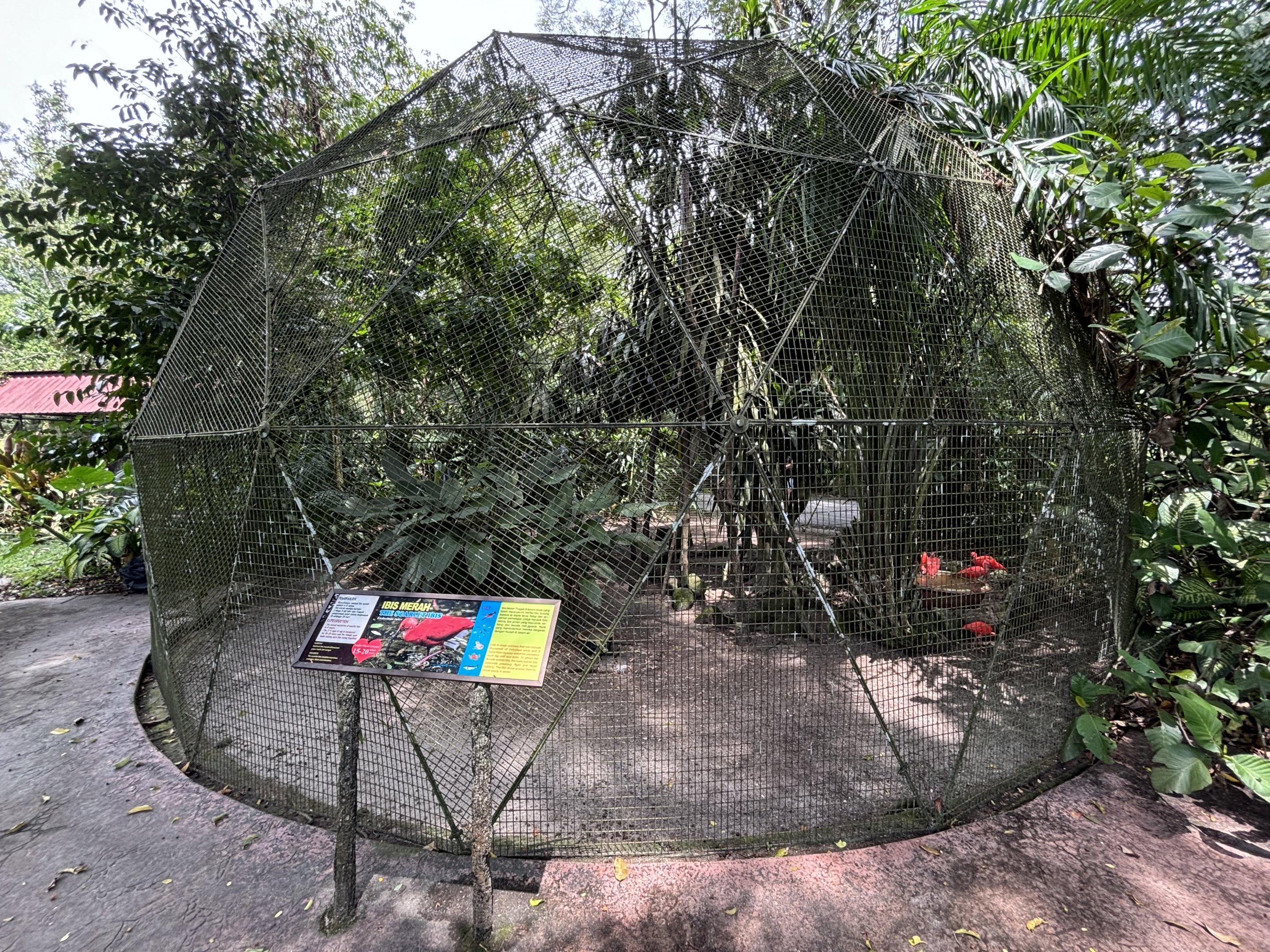 Scarlet Ibis Aviary