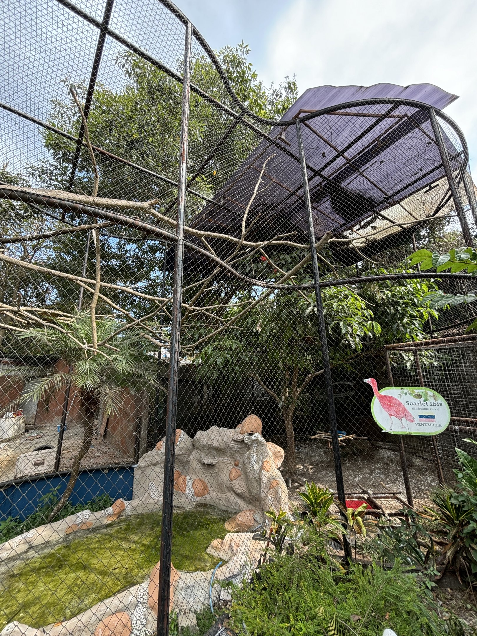 Scarlet Ibis Aviary