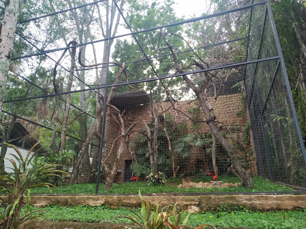 Scarlet Ibis Enclosure