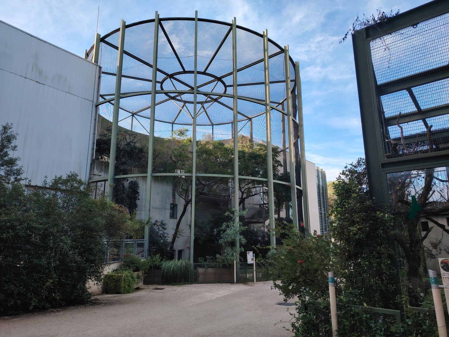 Scarlet Ibis (Eudocimus ruber) Aviary