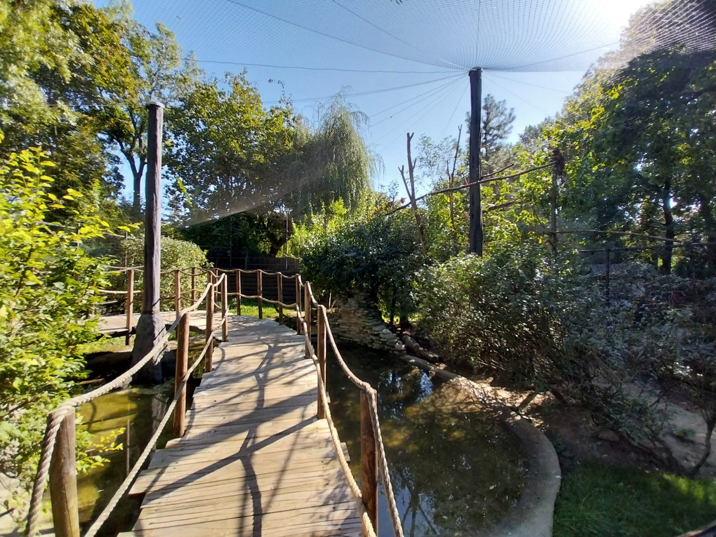 Scarlet Ibis (Eudocimus ruber) aviary