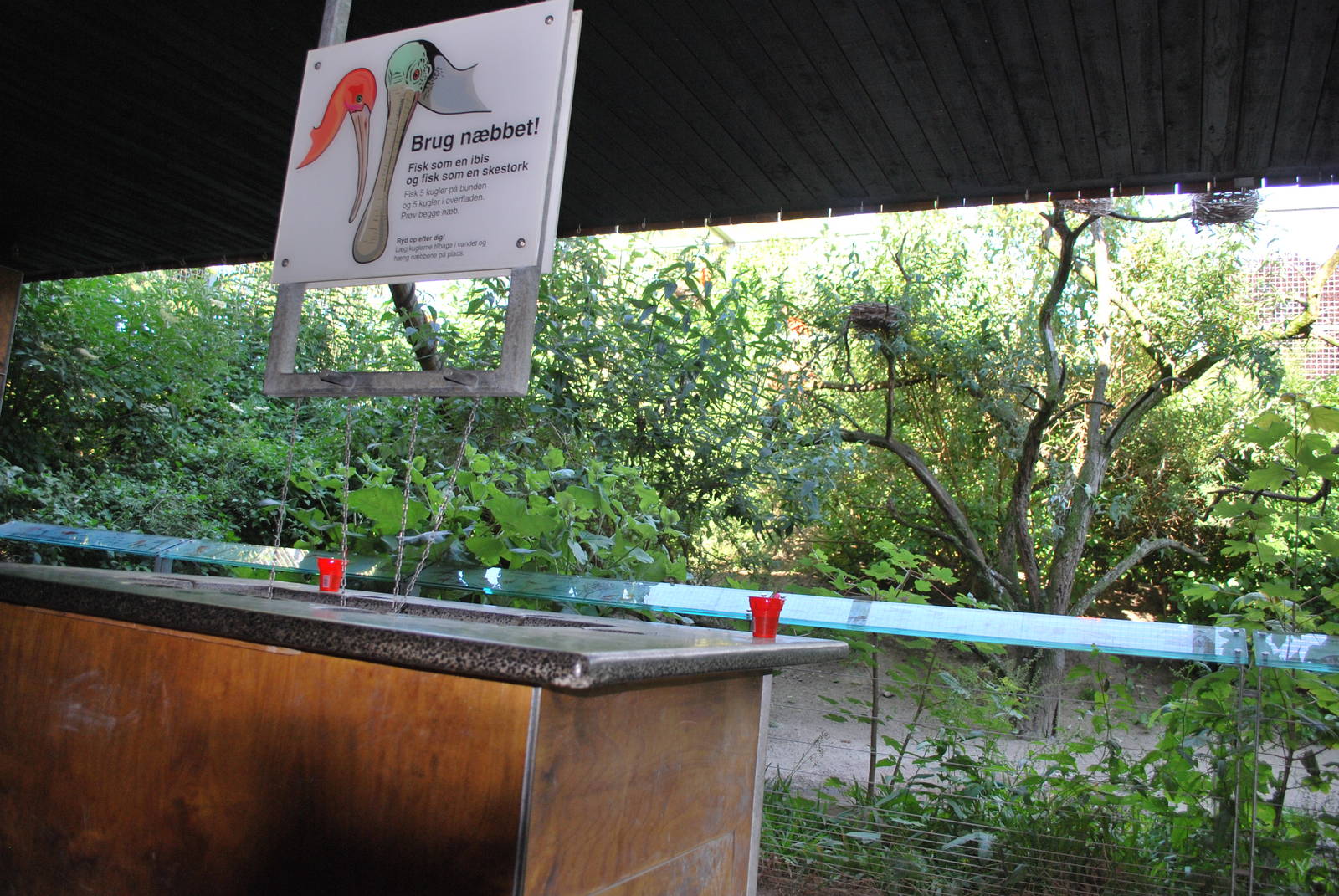 Scarlet ibis exhibit, Copenhagen Zoo June 2009, (pic 6 of 7)