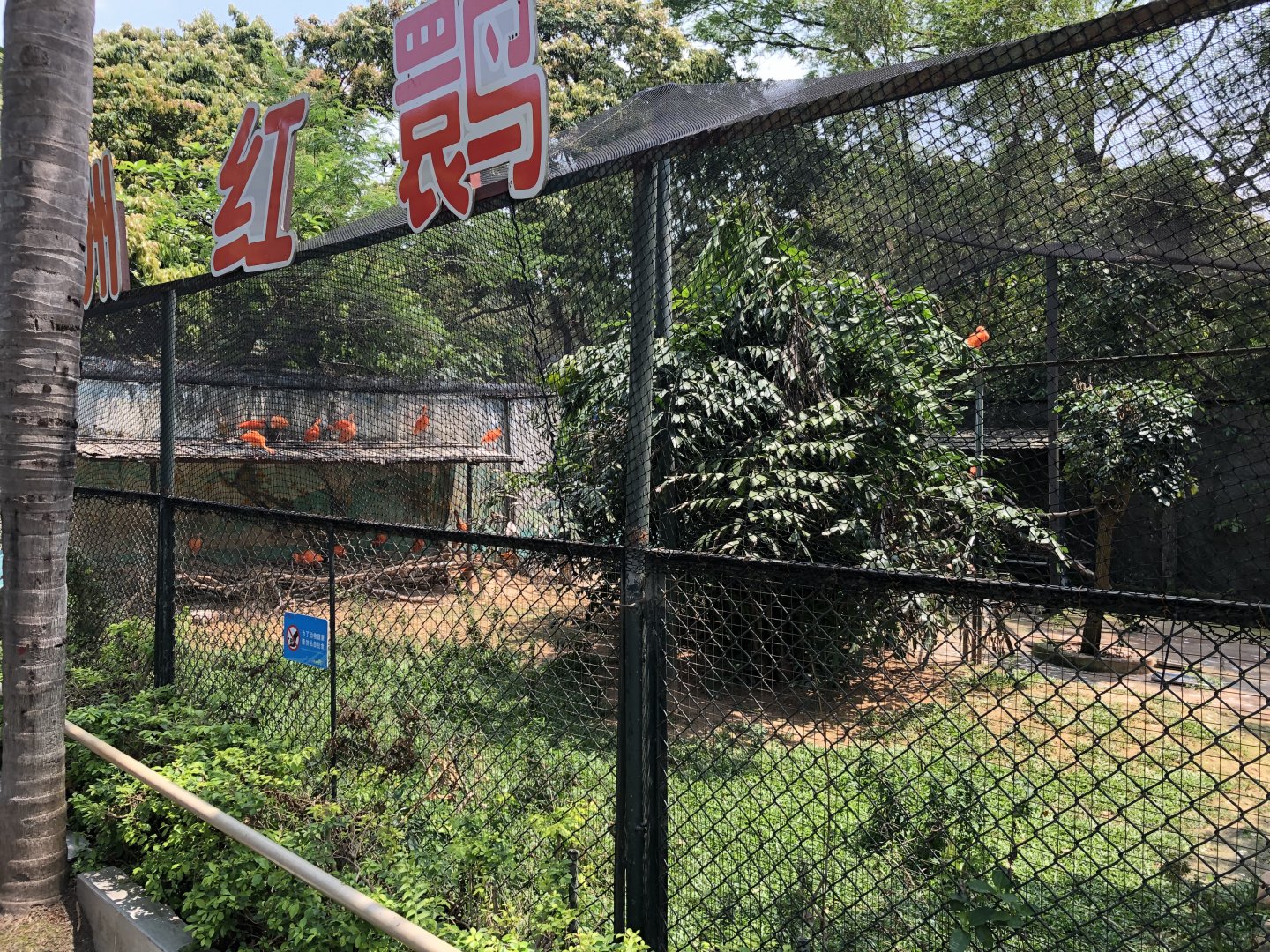 Scarlet Ibis Exhibit