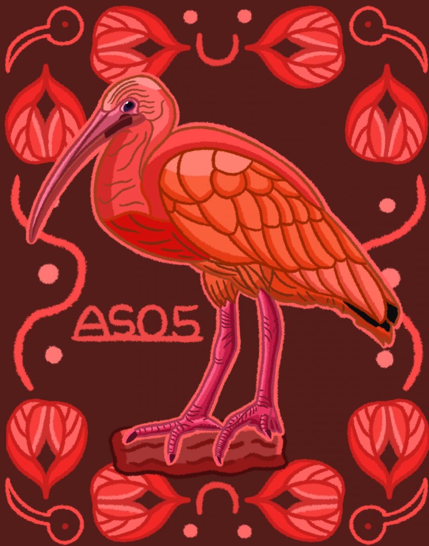 Scarlet Ibis
