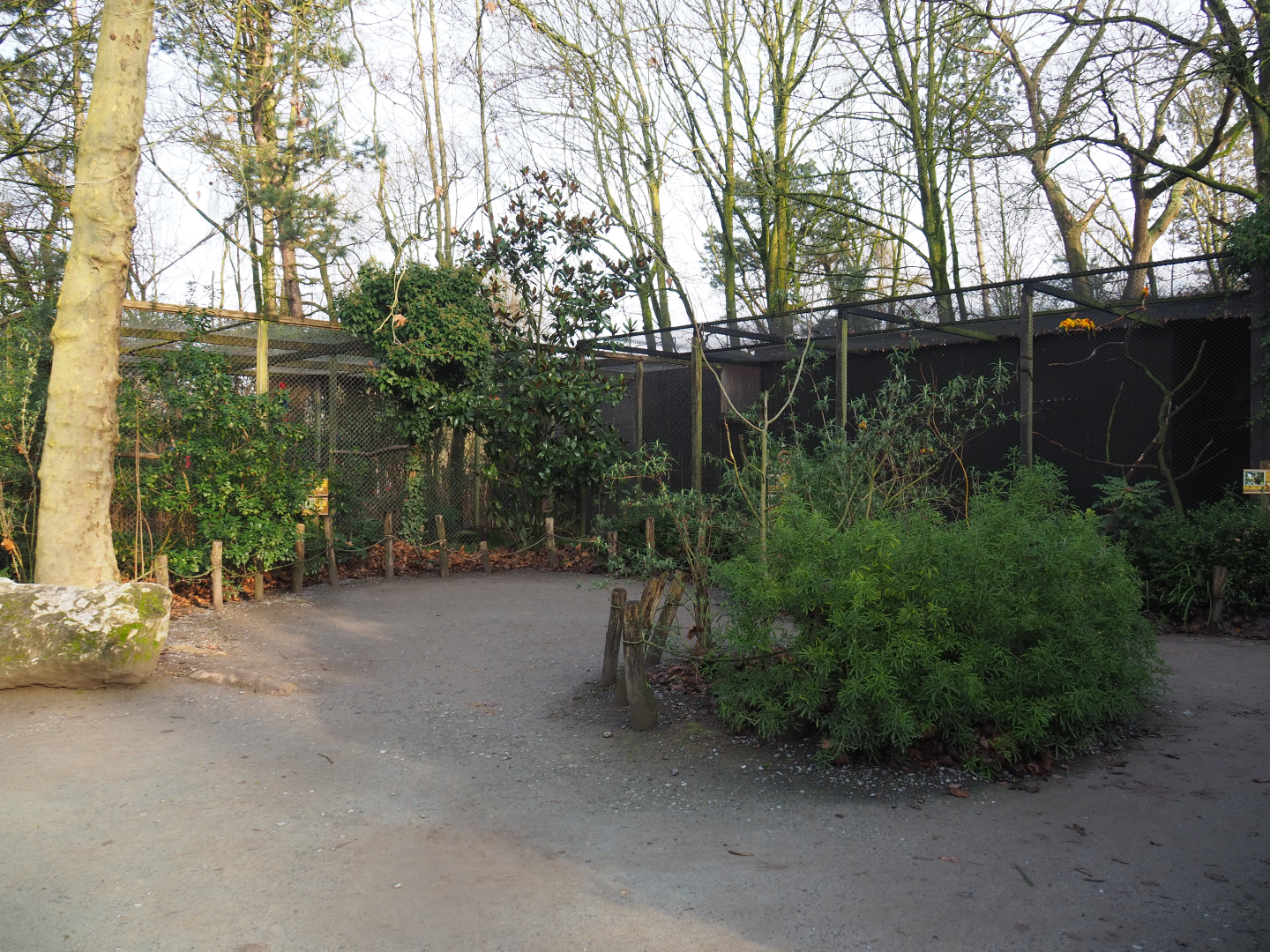 Scarlet macaw and Sun conure/Crestless curassow aviaries, 2019-12-28