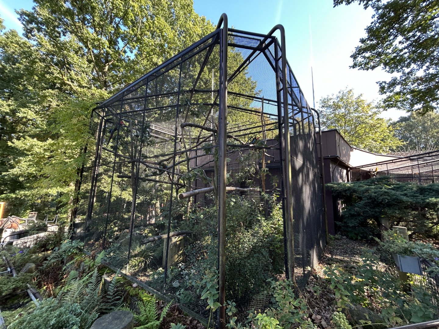 Scarlet Macaw Aviaries