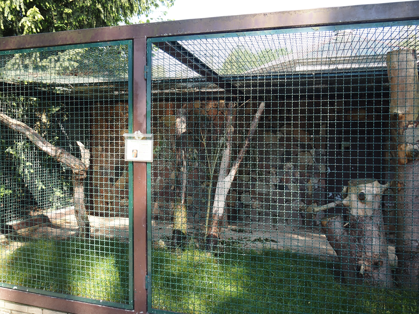 Scarlet macaw aviary, 2024-05-23