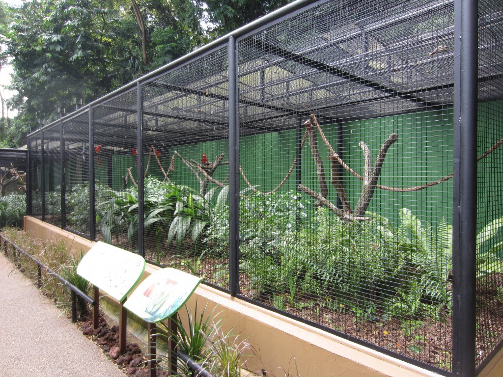 Scarlet Macaw Aviary