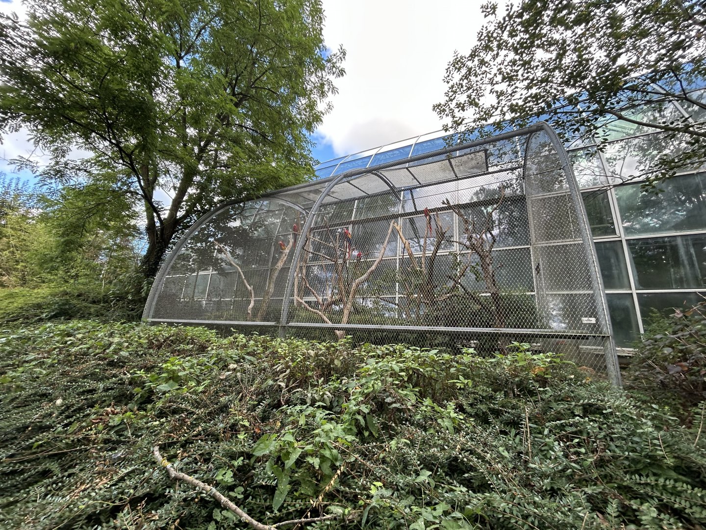 Scarlet Macaw Aviary