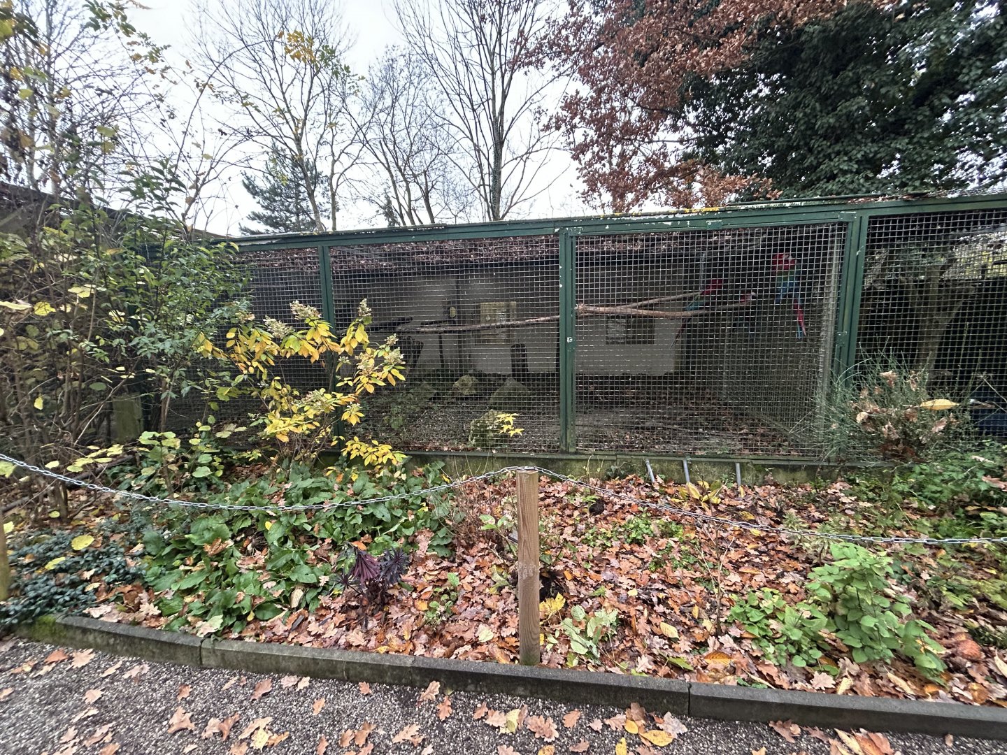 Scarlet Macaw Aviary