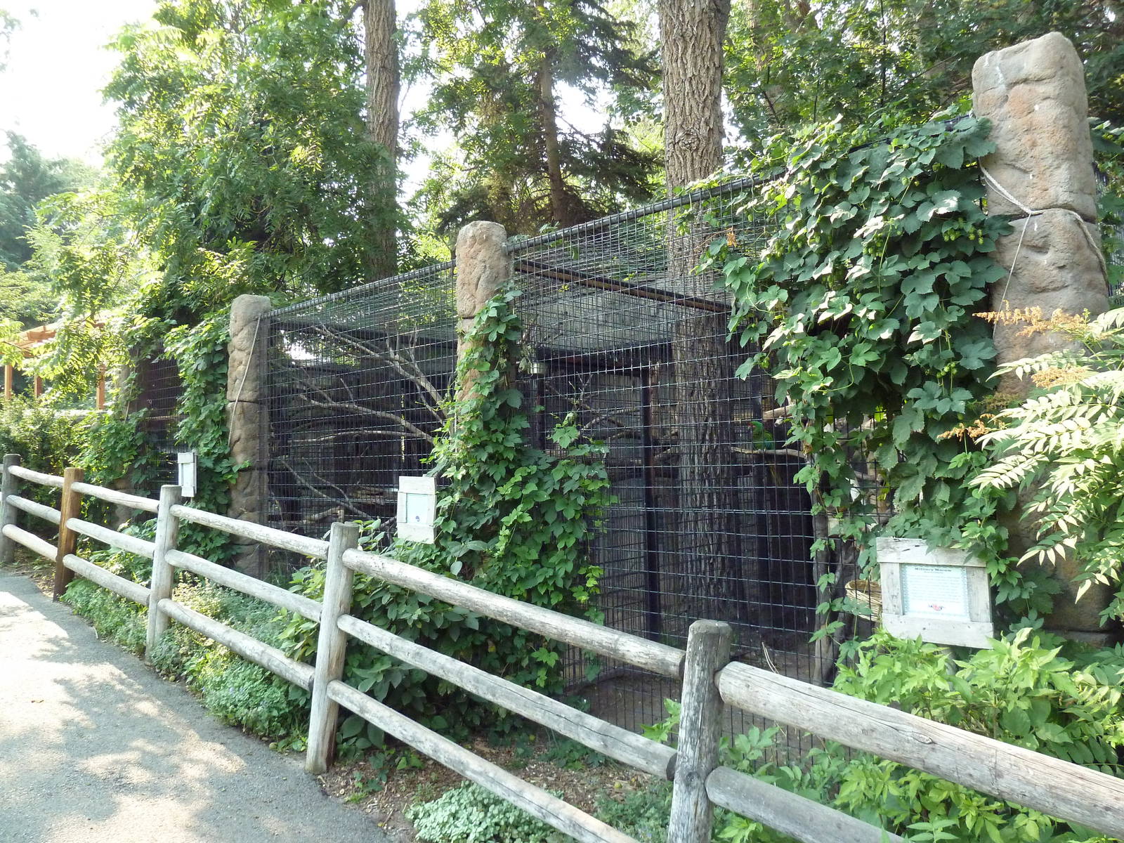 Scarlet Macaw + Coendou + Military Macaw Exhibits