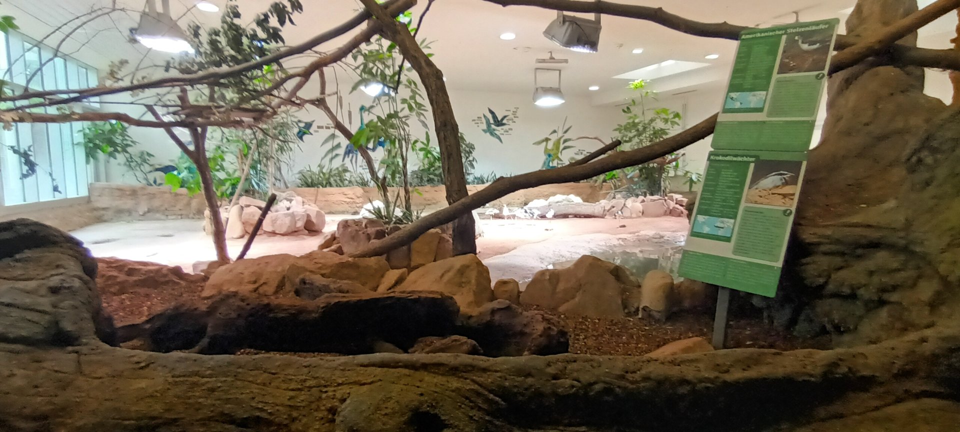 Scarlet Macaw Enclosure and behind them the Giant Tortoise/Shorebird Enclosure