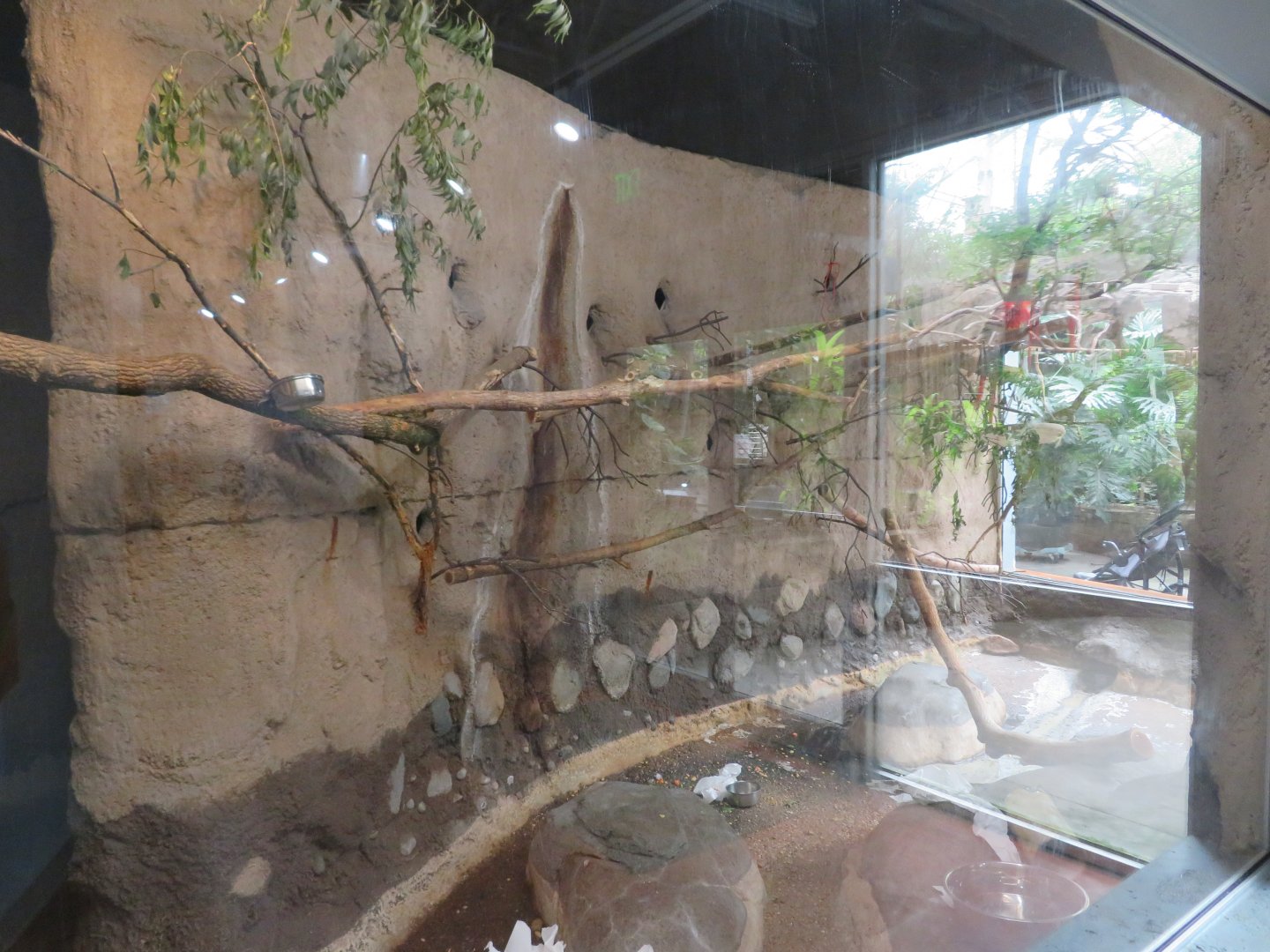 Scarlet Macaw Exhibit