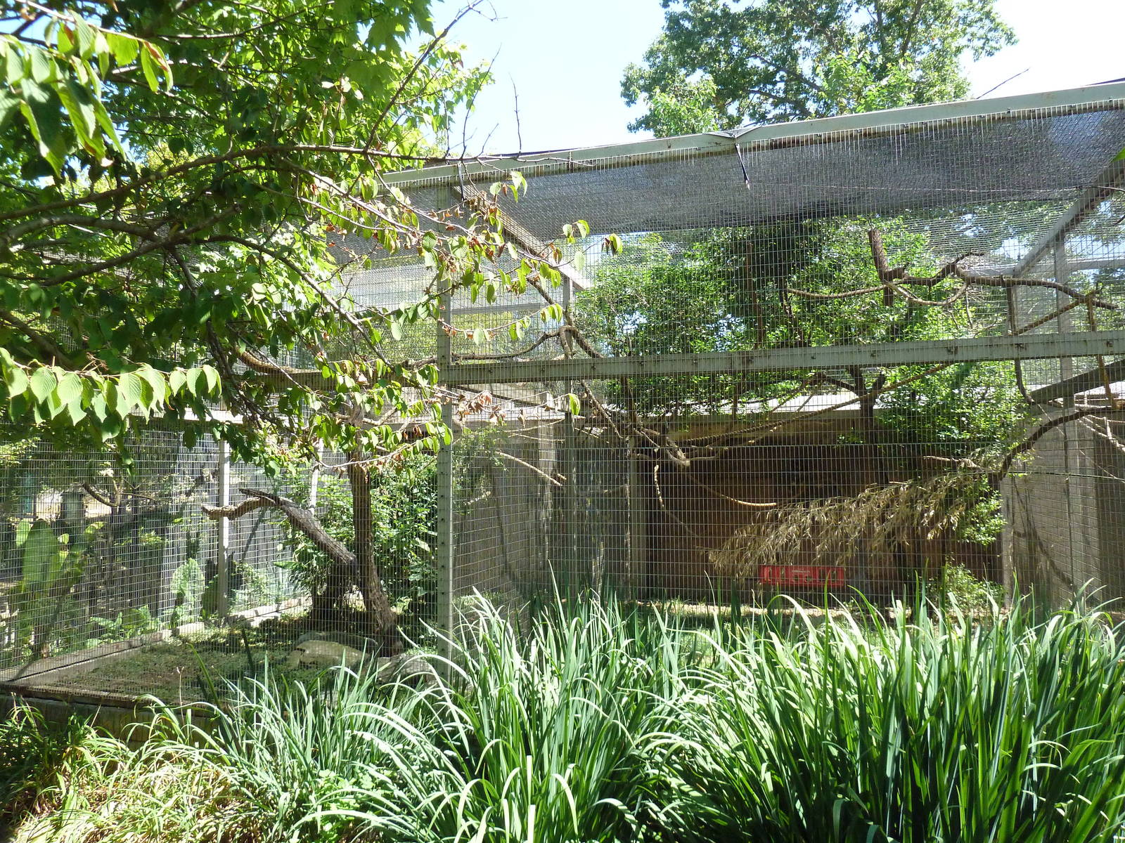 Scarlet Macaw + Squirrel Monkey Exhibits