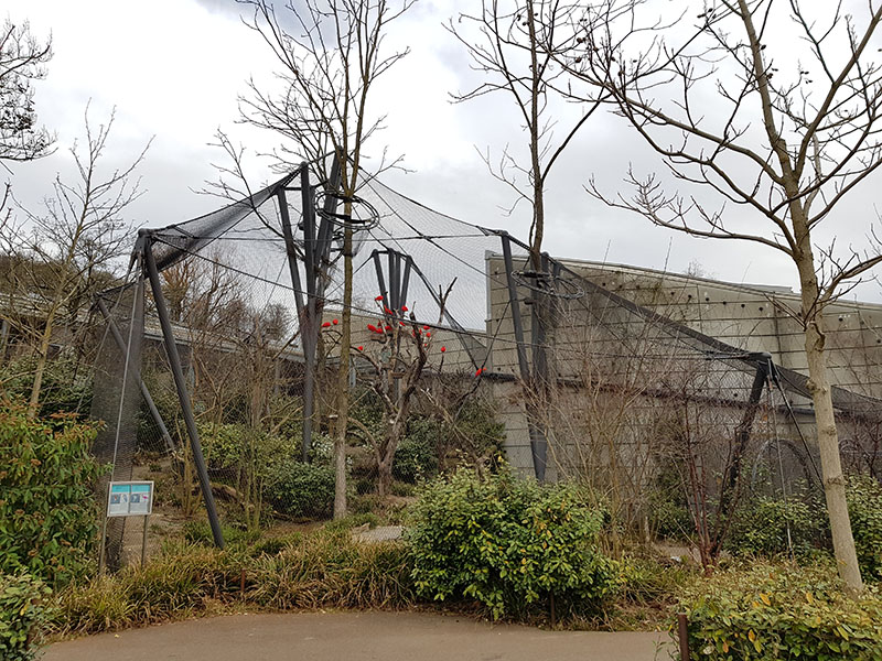Scarlett ibis aviary