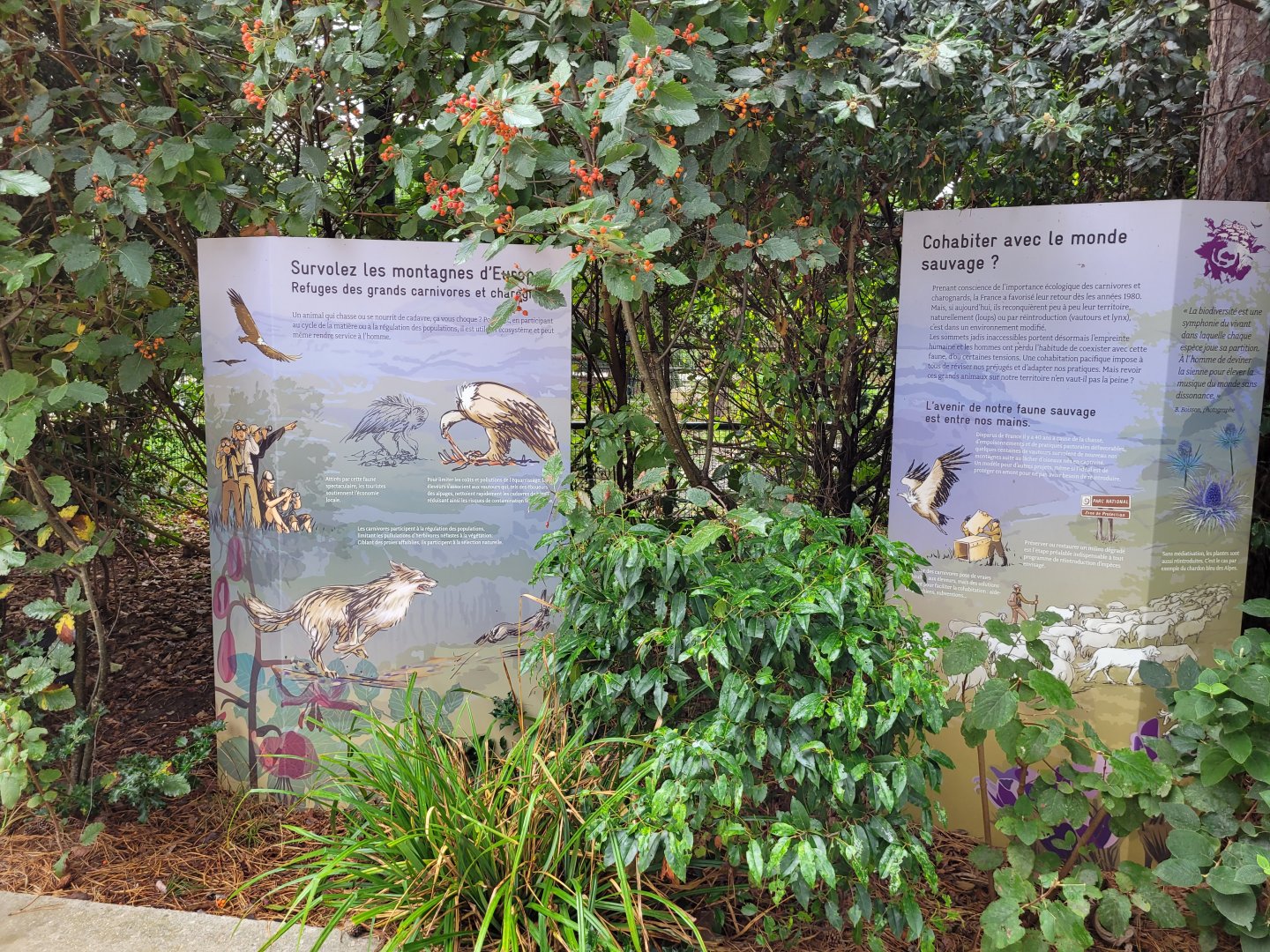 Scavenger signs -Parc Zoologique de Paris (2022)