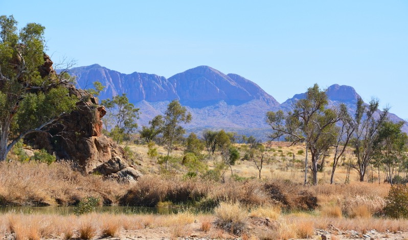 Scene north of Alice Springs