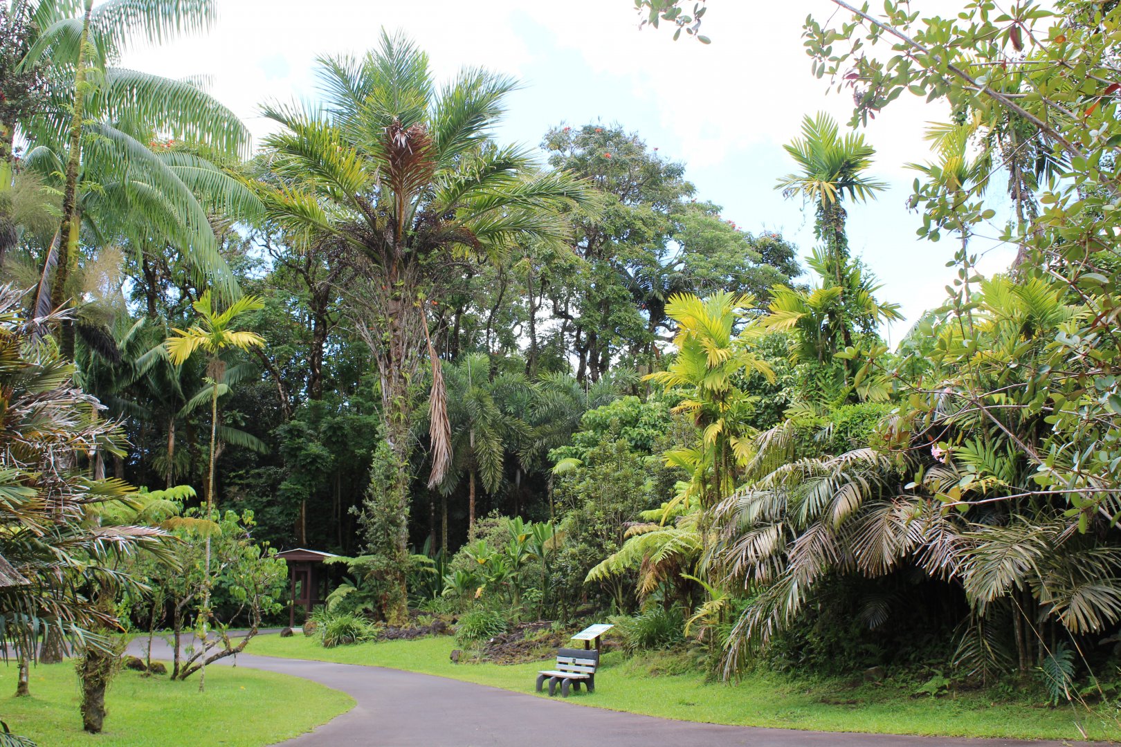 Scenery and Vegetation