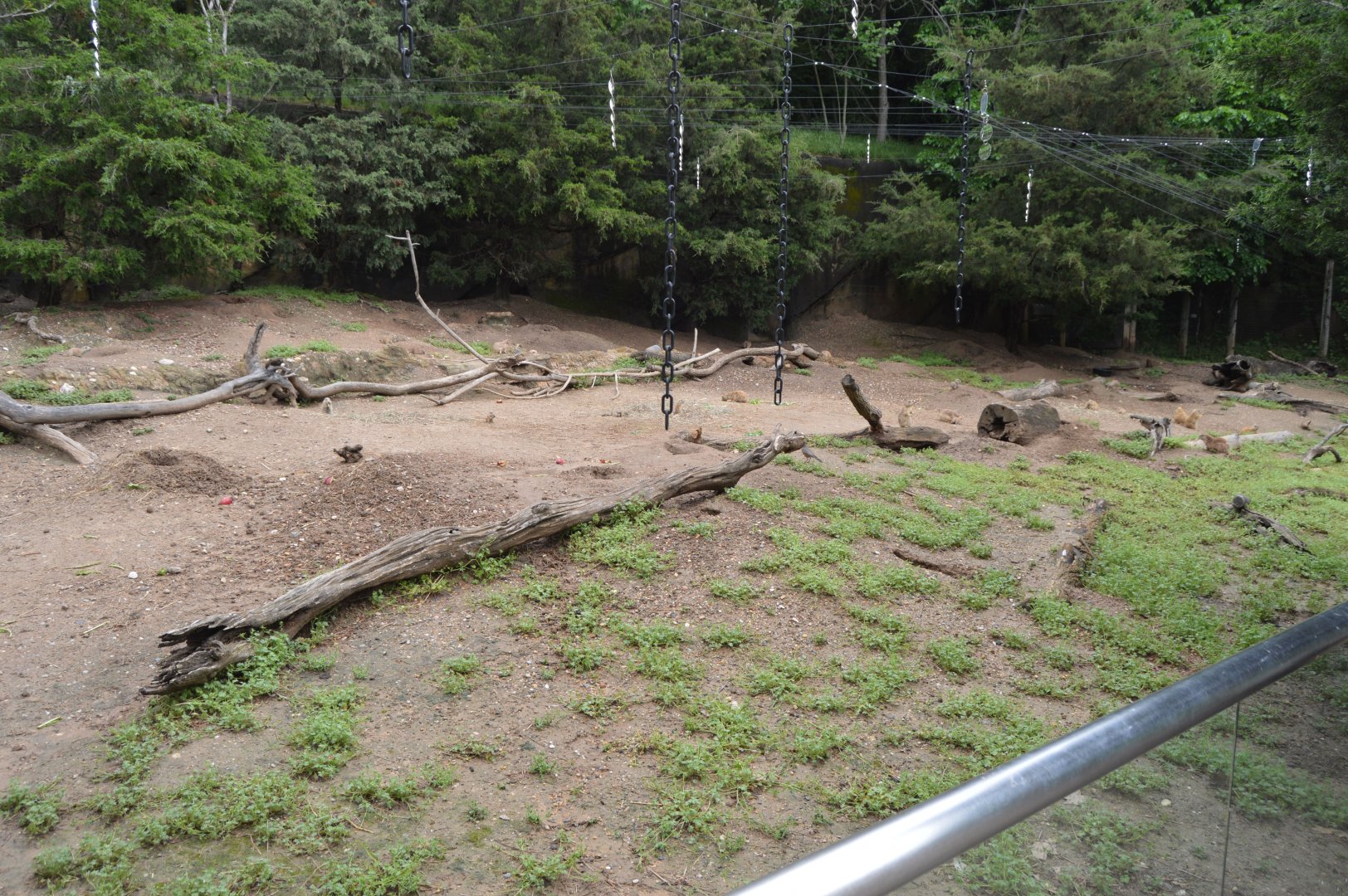 Schaefer Plaza - Black-tailed Prairie Dog Exhibit