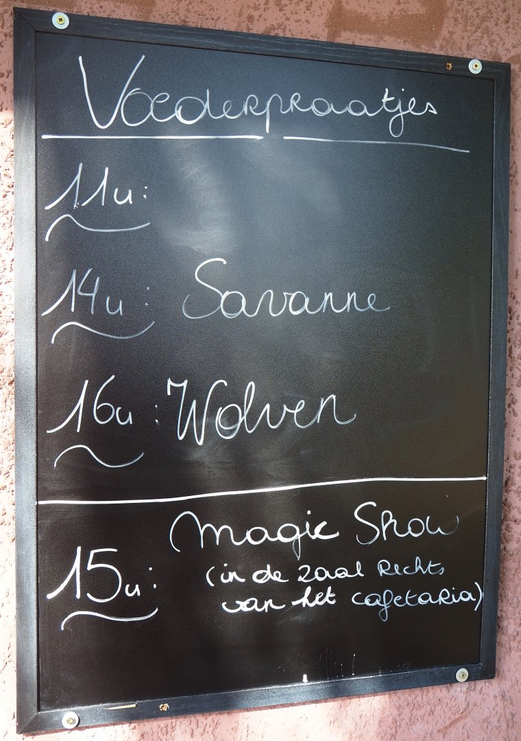 Schedule board with times of feeding presentations and magic show, 2019-06-01