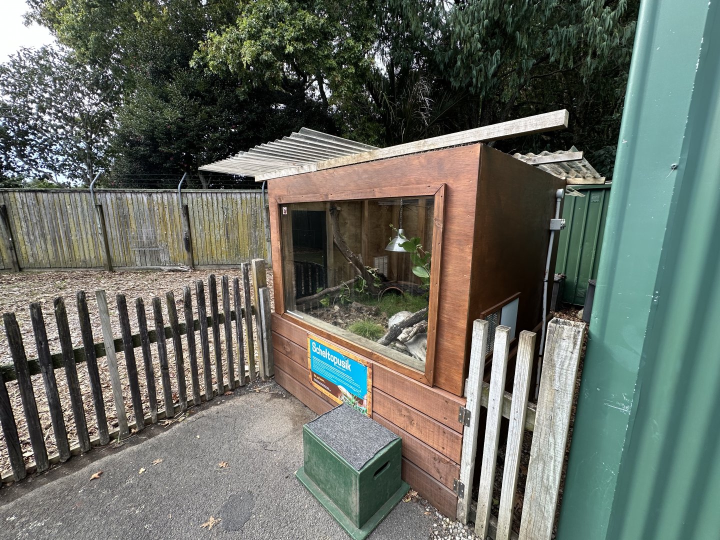 Scheltopusik Exhibit