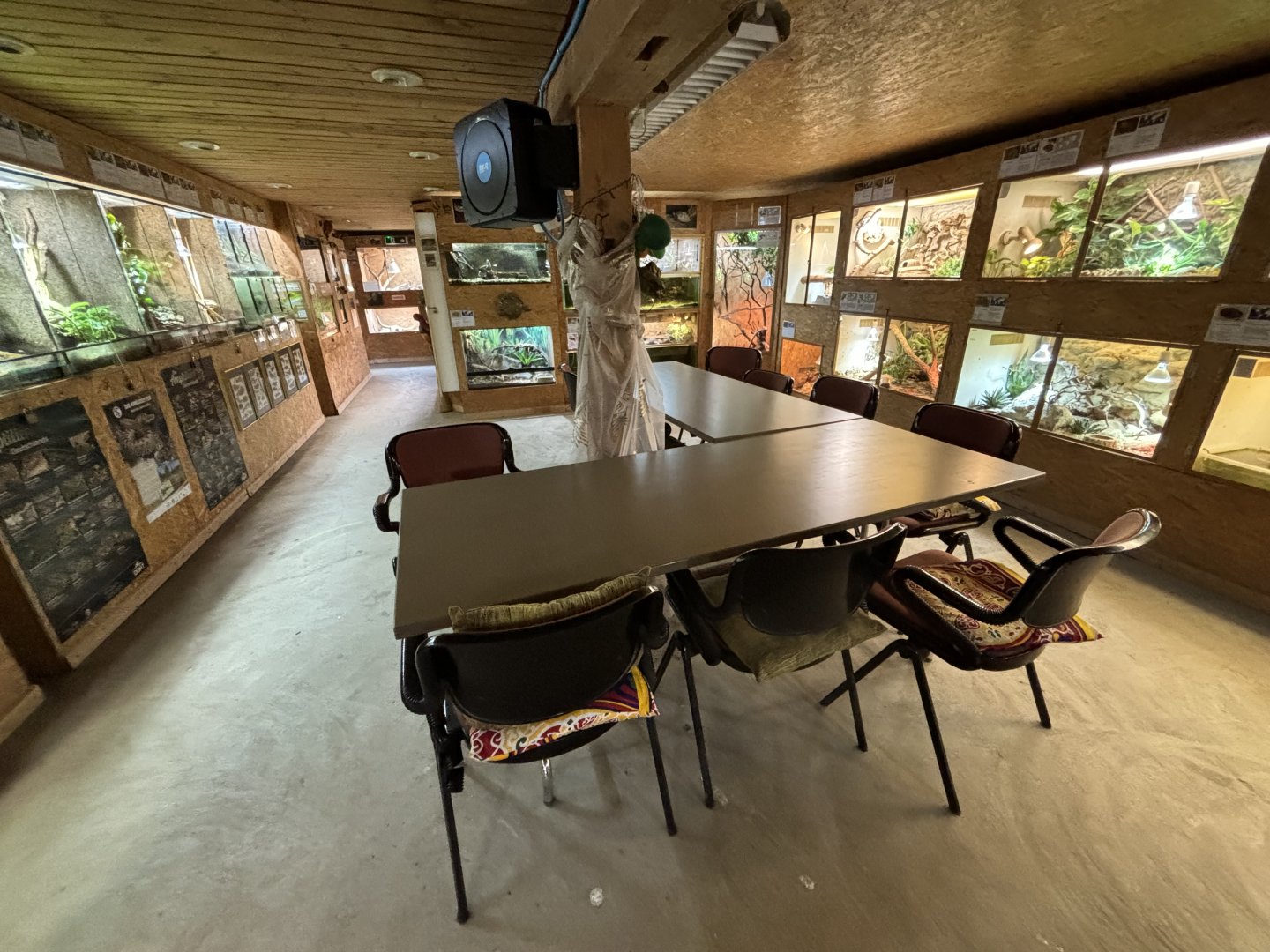 Schildkröten und Reptilien Zoo Neu-Ulm