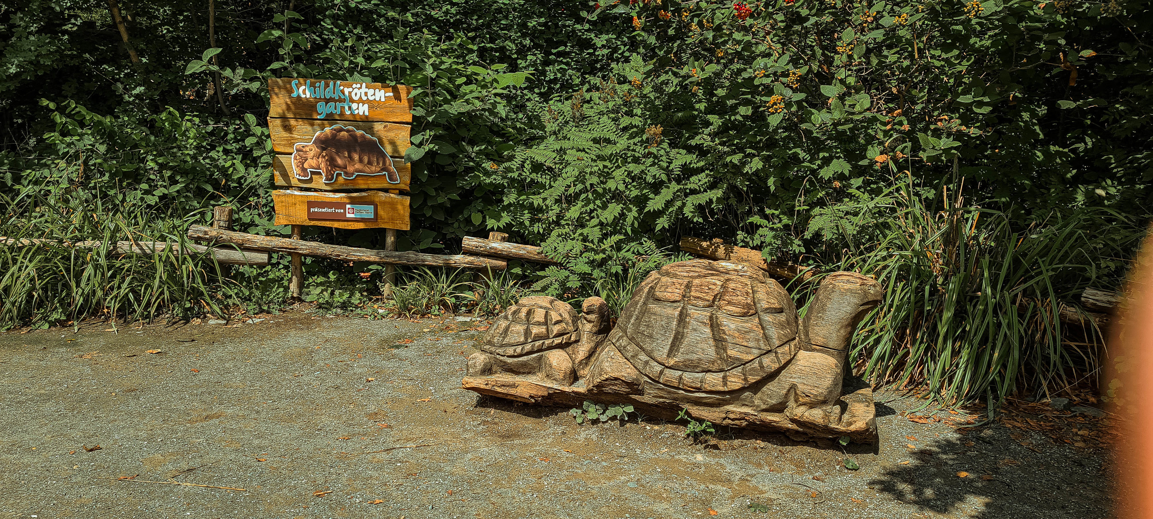 "Schildkrötengarten"