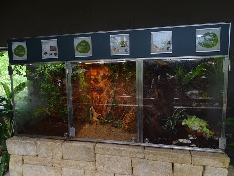 Schildkrötenhaus; terraria for various invertebrates