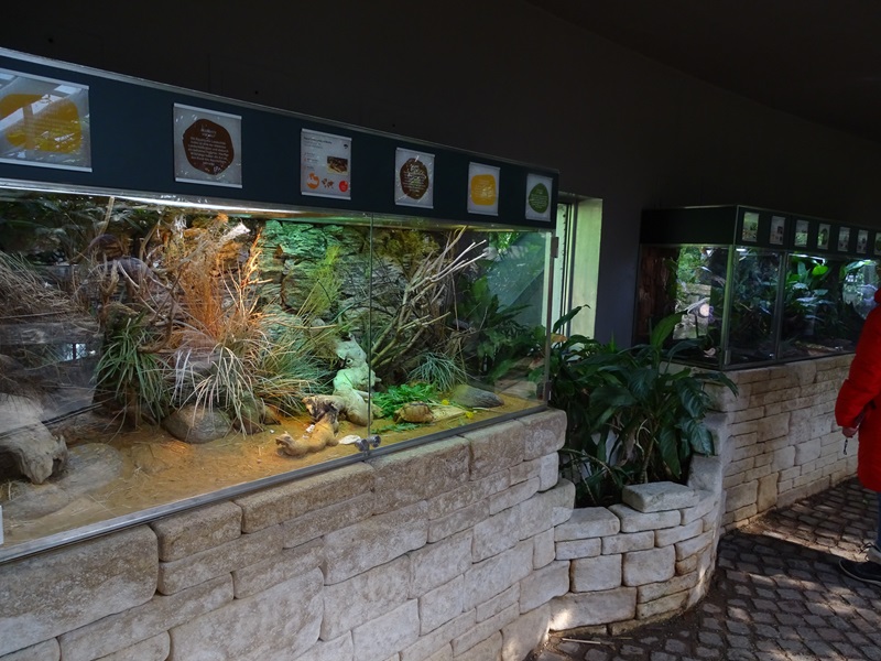 Schildkrötenhaus; terraria