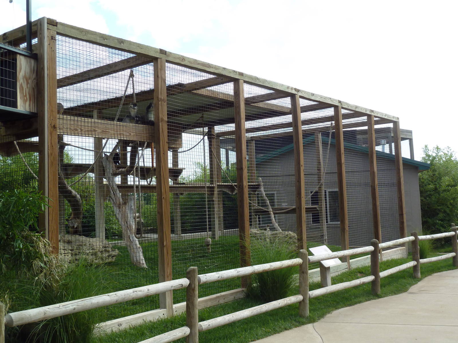 Schmidt's Guenon Exhibit