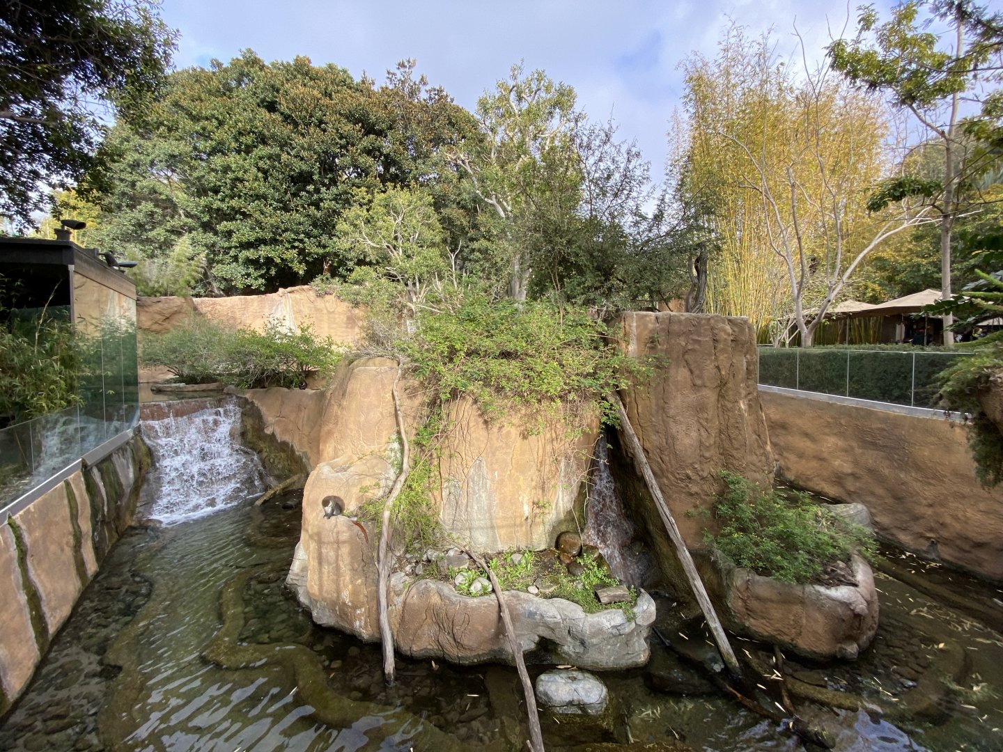 Schmidt’s Red-tailed Monkey, Allen’s Swamp Monkey, Red River Hog, and Spotted-necked Otter Habitat
