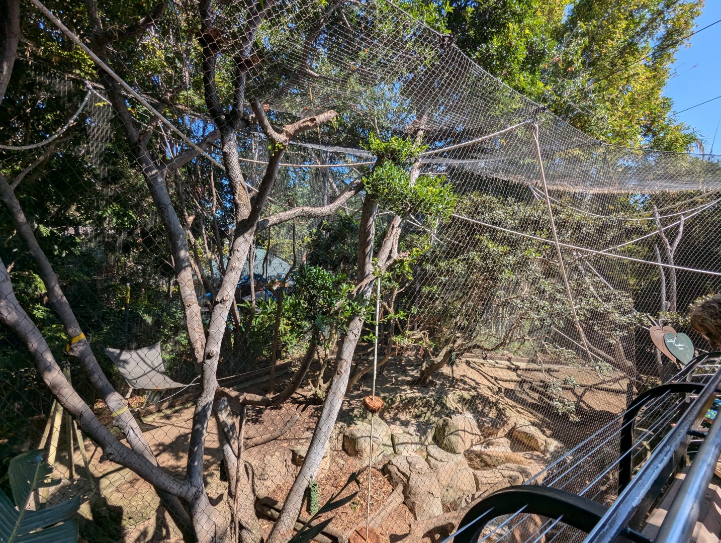 Schmidt's Red-Tailed Monkey and Mandrill Enclosure
