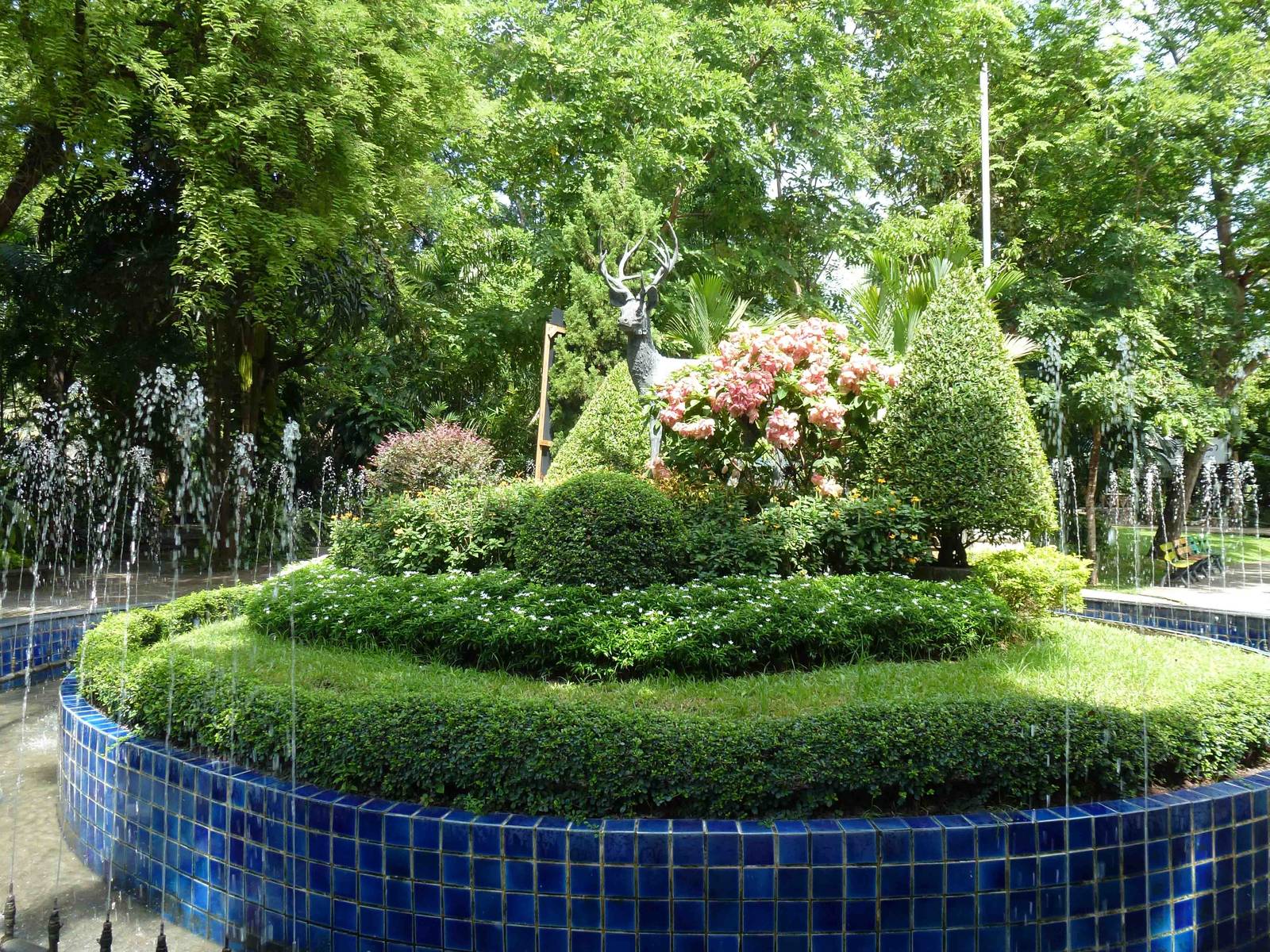 Schomburgk's deer fountain, July 2013.