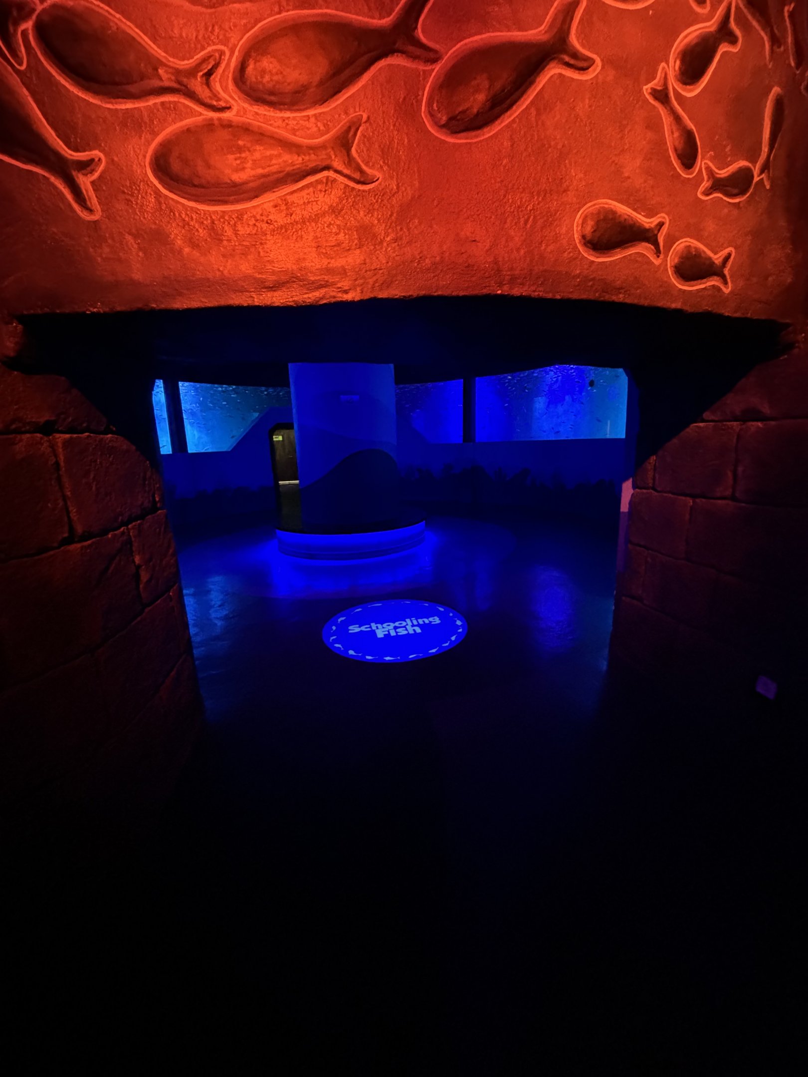 Schooling Fish Exhibit - BXSea Aquarium